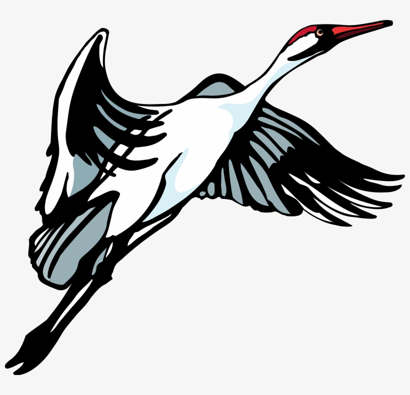 Bird 34 Free Vector - Freed To Love: Healing For Catholic Women, transparent png #4625420