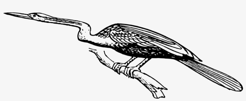 How To Set Use Snake Bird Svg Vector, transparent png #4625552