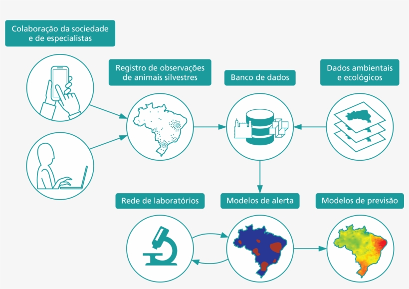 Black Greeting Cards (pk Of 10), transparent png #4625673