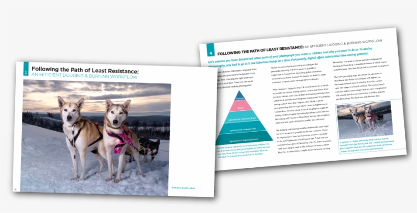 Piet Van Den Eynde Edith Levy Photography Flashes Eynde - Digitale Fotografie Op Reis, transparent png #4625826