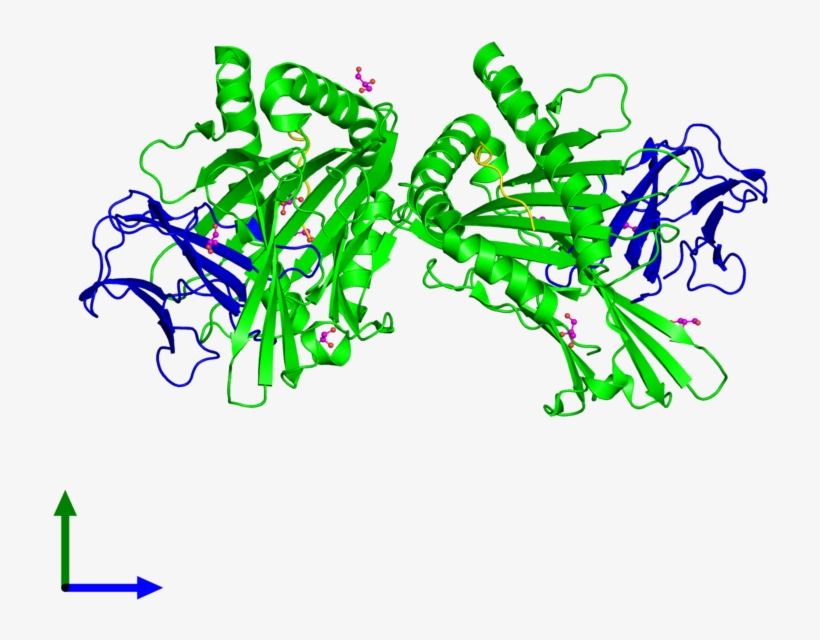 <div Class='caption-body'><ul Class ='image Legend - Graphic Design, transparent png #4627697