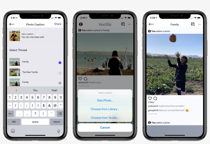 Photograph, transparent png #4628142