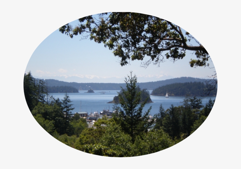 The Deer Harbor Inn On The Sunny Side Of Beautiful - Deer Harbor Inn, transparent png #4628144