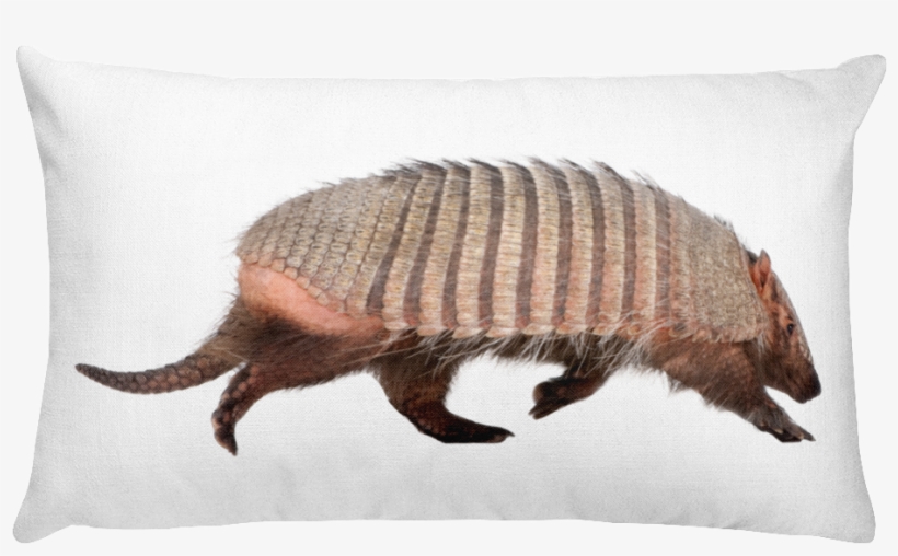 Armadillo Print Rectangular Pillow - Armadillo - Dasypodidae - Cingulata Mug, transparent png #4628664