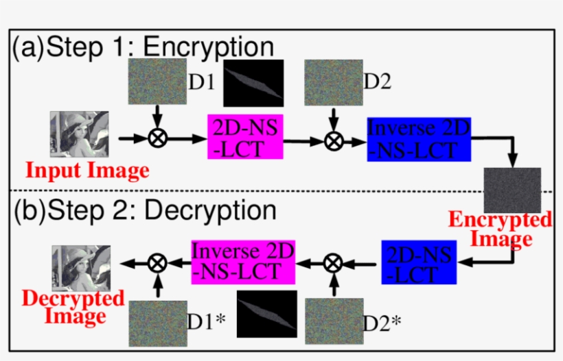 Illumination Of The 2d Ns Lct Based Drpe System - Jpeg, transparent png #4628980