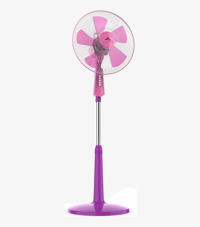 1-1280x854 - Purple, transparent png #4629302
