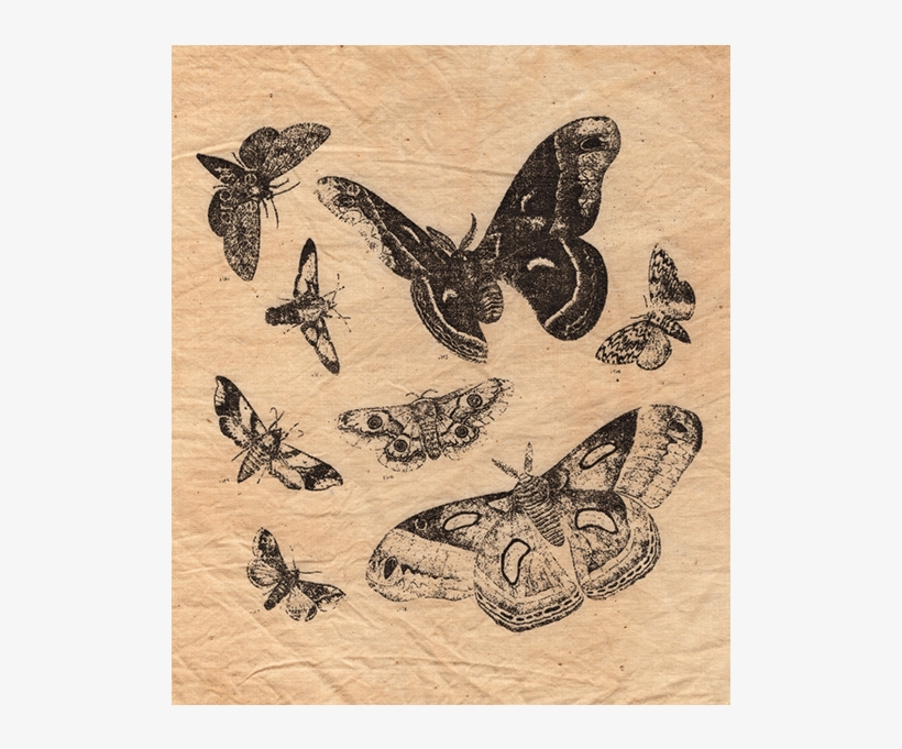 Moth-patch - Evanescence Bring Me To Life, transparent png #4630095