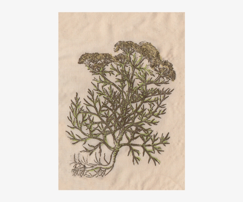 Patch Five 1 - Motif, transparent png #4631113