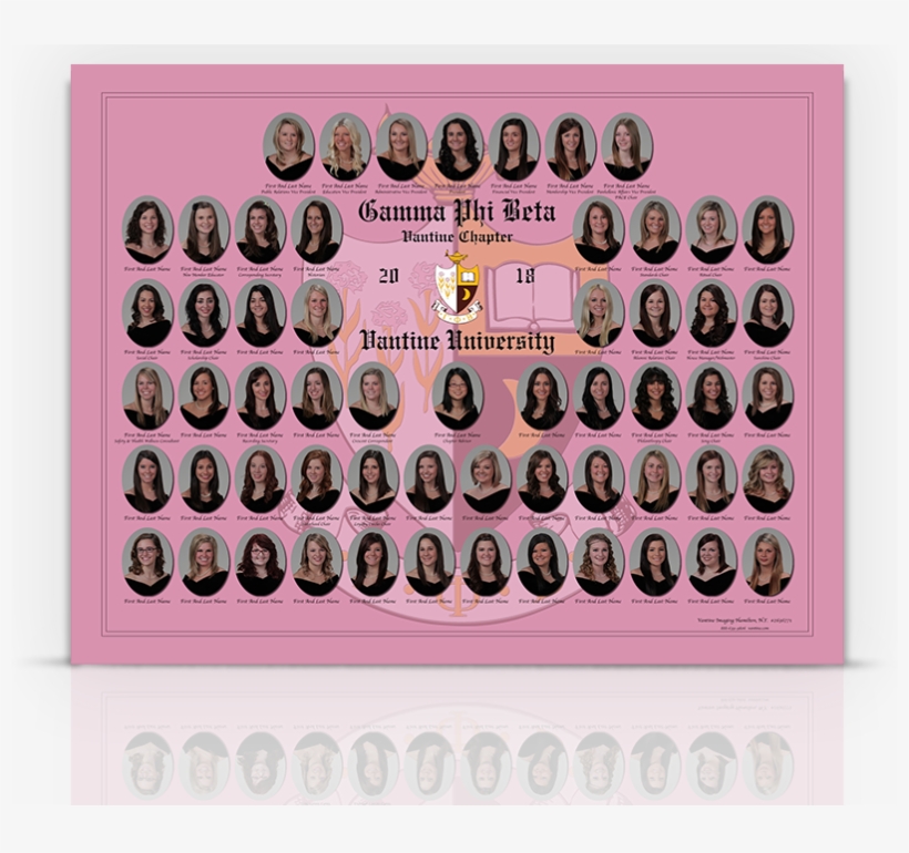 Pink Background With Crest Watermark, Regular Oval - Usaopoly Chess, transparent png #4631529
