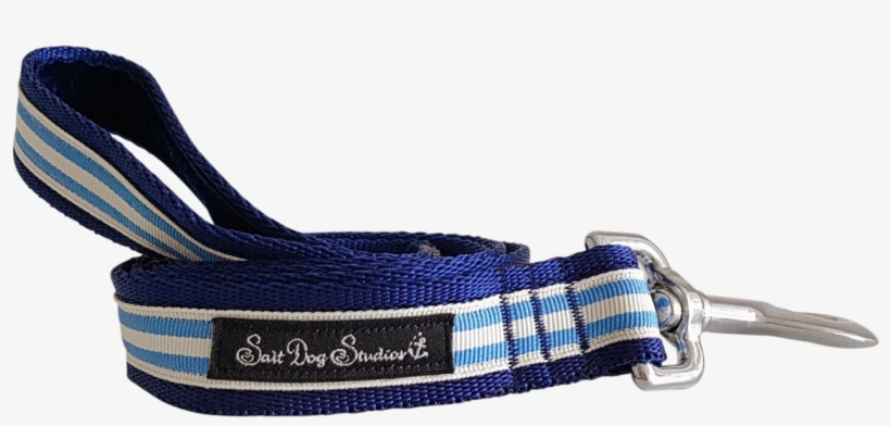 Light Blue Stripe Ribbon Dog Lead - Webbing, transparent png #4632288
