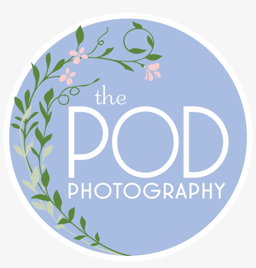 Los Angeles Based Photo Studio, The Pod Photography, - Santa Monica's Pod Photography - Maternity Photographer, transparent png #4632645