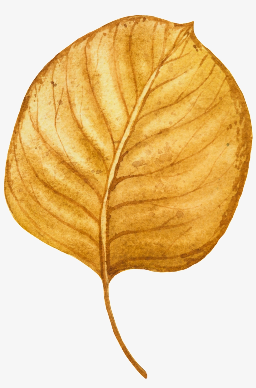 Hand Painted A Piece Of Yellow Fallen Leaves Vector - Leaf, transparent png #4634157