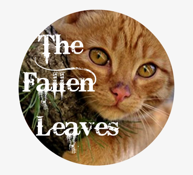 The Fallen Leaves Bannerpng - Paul Wesley, transparent png #4634226
