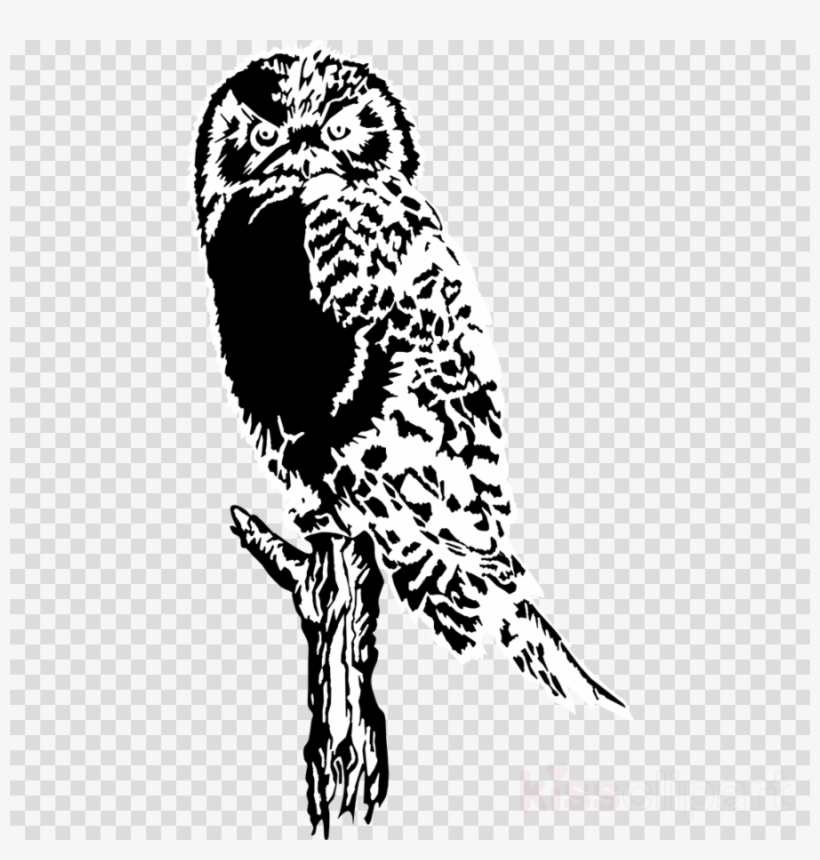 Owl Silhouette Clipart Owl Bird Clip Art - Owl Silhouette, transparent png #4634389