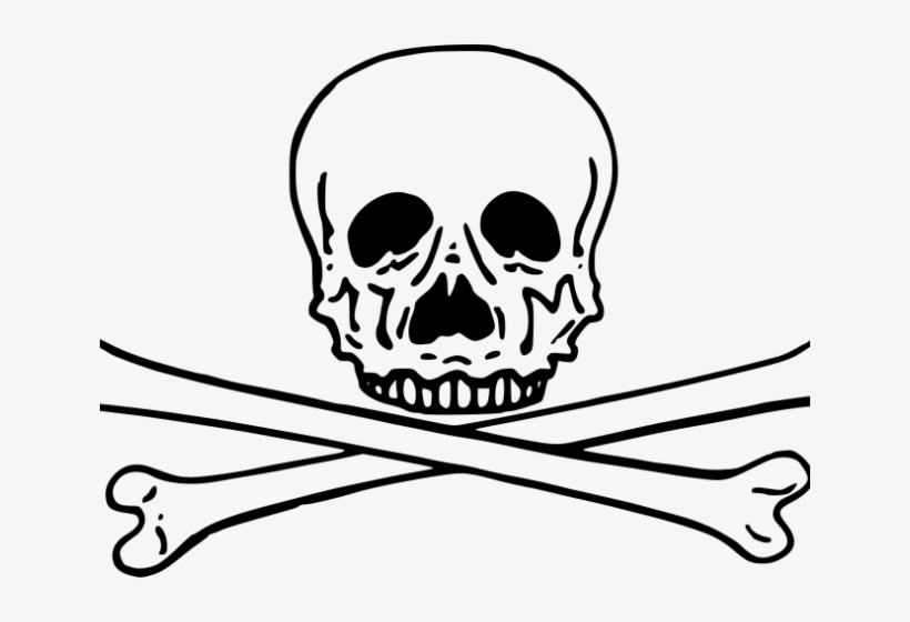 Skeleton Head Clipart Small Skull - Skull, transparent png #4634553