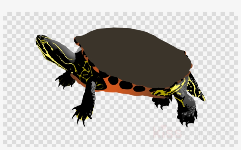 Rainbow Black Icon Png Clipart Computer Icons Clip - Vector Graphics, transparent png #4635096