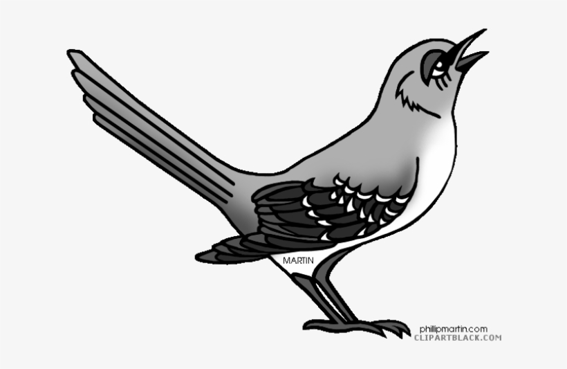 Mockingbird Clipart Black And White - Northern Mockingbird Clipart, transparent png #4635544