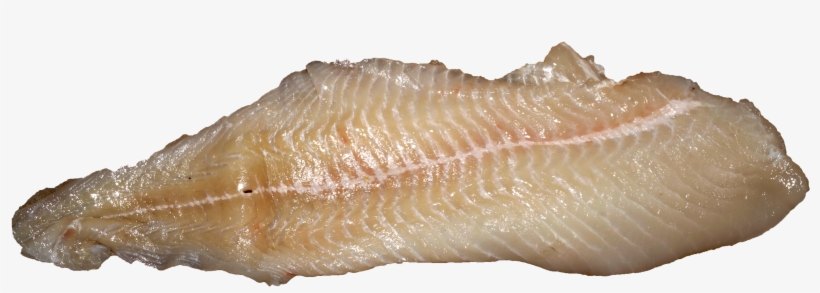 Pike Fillet - Wikimedia Commons, transparent png #4636230