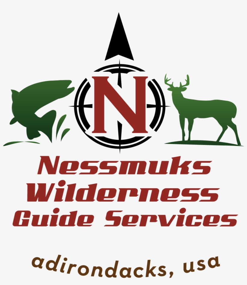 Wilderness Guides Marlborough Sounds, transparent png #4636898