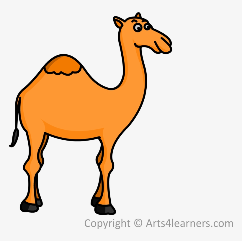 Drawn Camel Drawing - Easy Draw Camel, transparent png #4636954