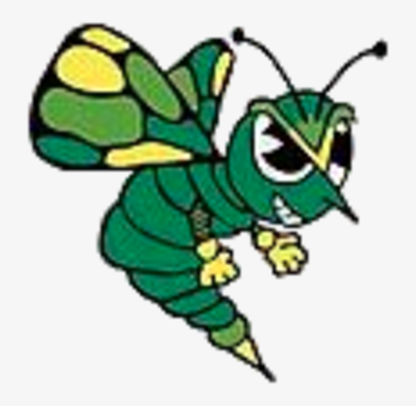The Greenfield-northwestern Coop Tigers Vs - Brown County Hornet, transparent png #4636957