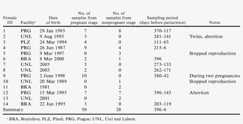 Camel Females Included In The Study - Nursing Literature, transparent png #4637617