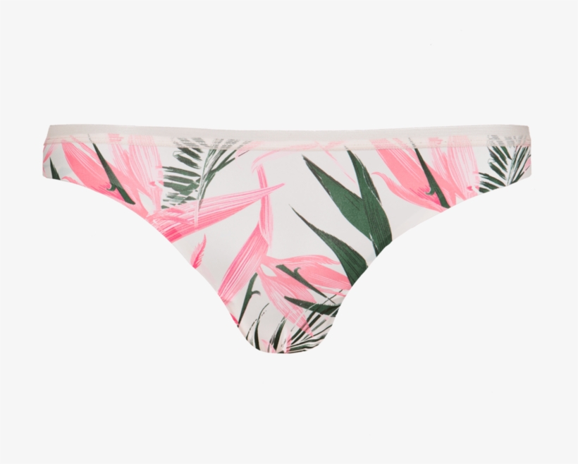 Panties, transparent png #4639195