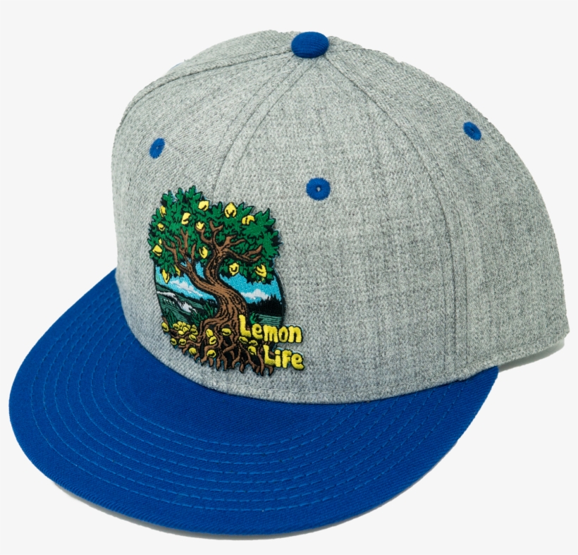 Lemon Life Roots Hat Grey With Blue Bill - Hat, transparent png #4639529