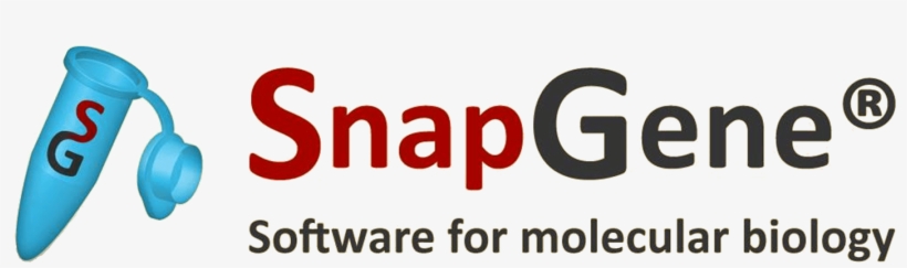 Snapgene 4.2 Crack, transparent png #4639892