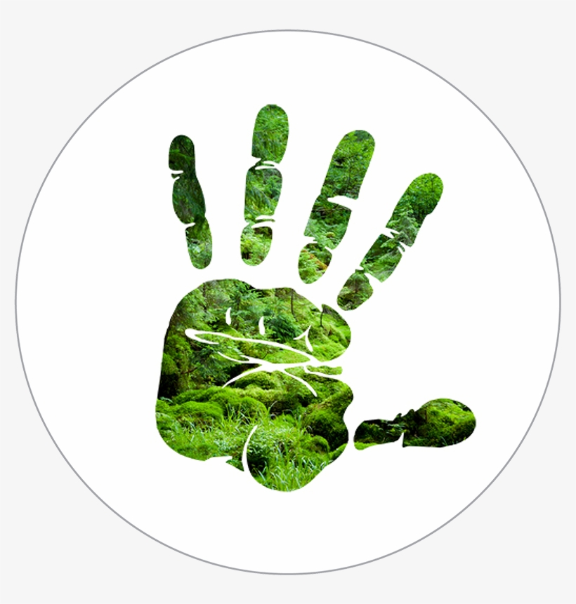 Silhouette Of Hand Over Forest Scene - Stop Hand Sign Png, transparent png #4643124