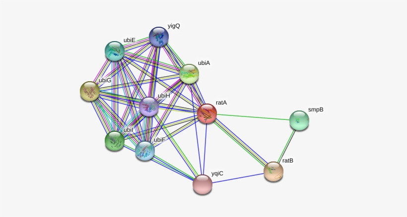 Circle, transparent png #4643576