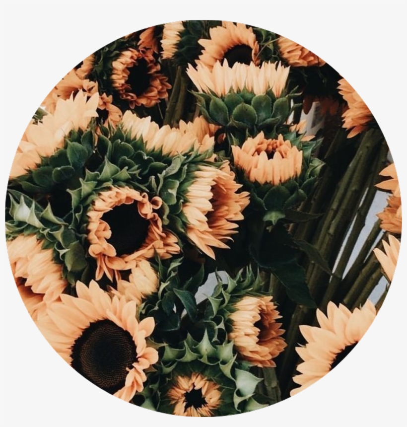 Get Tumblr Aesthetic Flower Png Flores Aesthetic Png Pictures