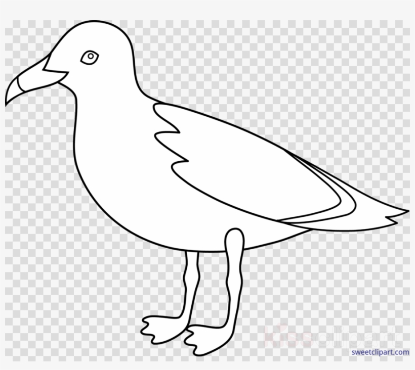 Download Seagull Black And White Clipart Gulls Clip - Gaviota Dibujo, transparent png #4645569