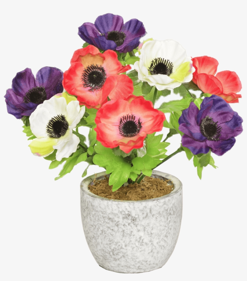 Colourful Anemones In A Pot - Artificial Flower, transparent png #4646615