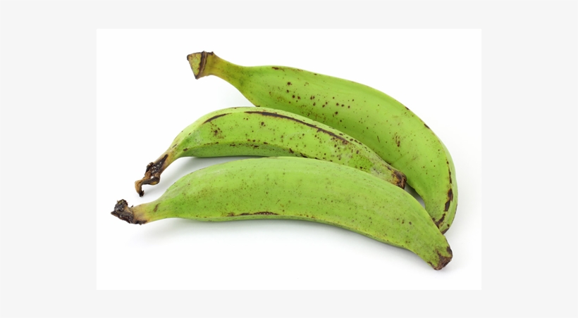 Plantain - Green Plantain, transparent png #4646754