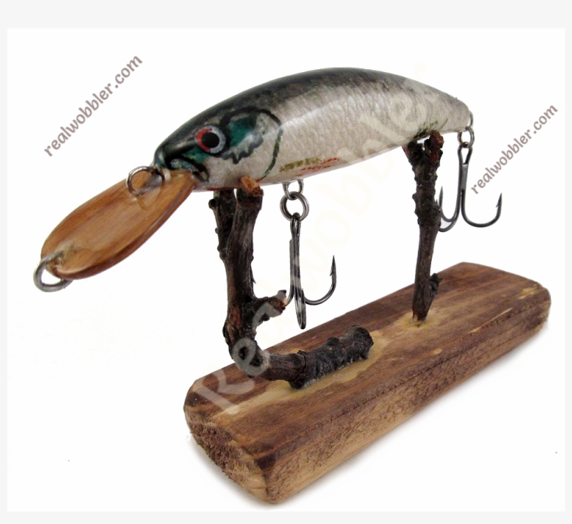 Display All Pictures - Bait Fish, transparent png #4648909