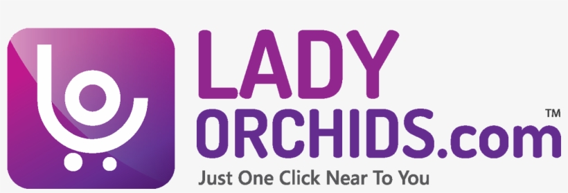 Logo - Churidar, transparent png #4649119