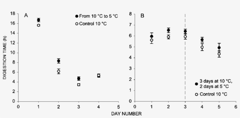 Temperature Switching Experiment On The Digestion Time - Number, transparent png #4649590