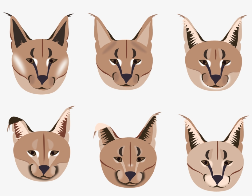 To Get The Facial Marking Right - Cat Yawns, transparent png #4650349
