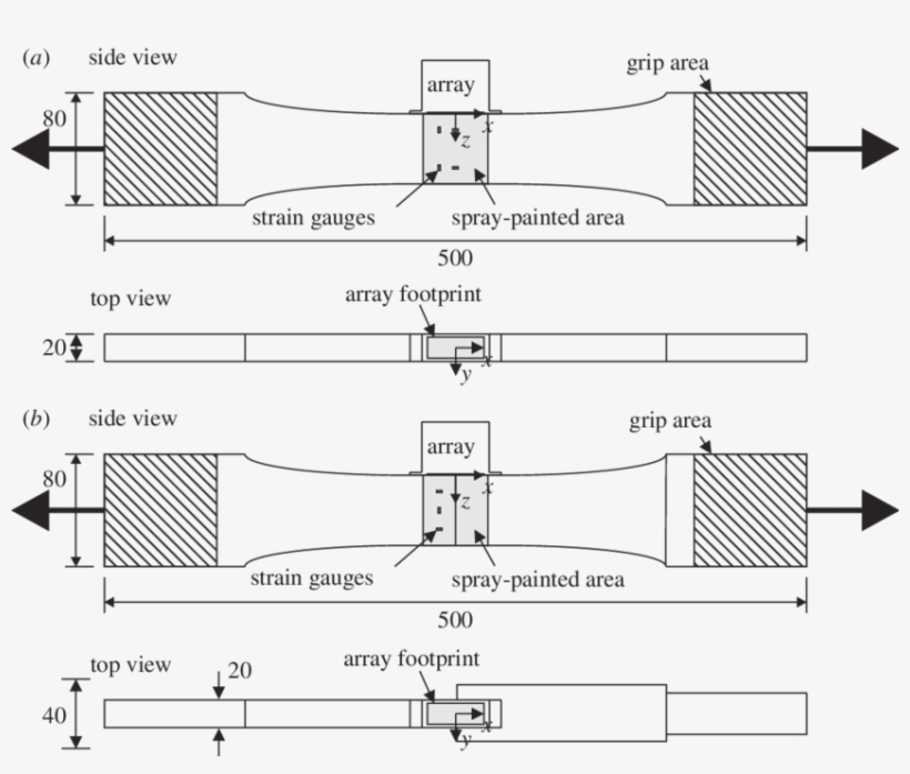 Download - National 6840s Oil Seal, transparent png #4652206