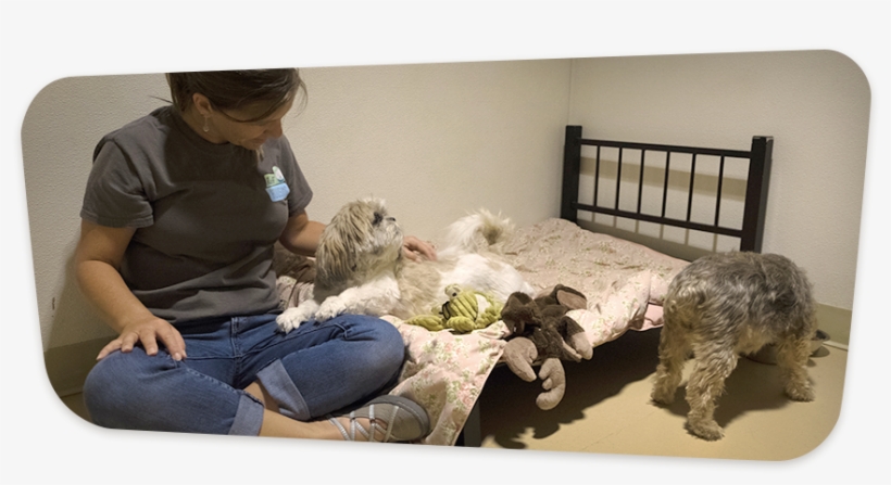 Our Slumber Party Is A Wonderful, Communal Take On - Sitting, transparent png #4652518