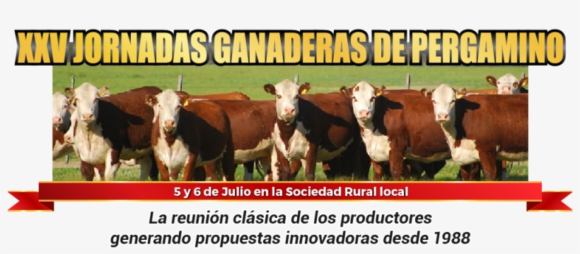 Miércoles - Pergamino, transparent png #4653479