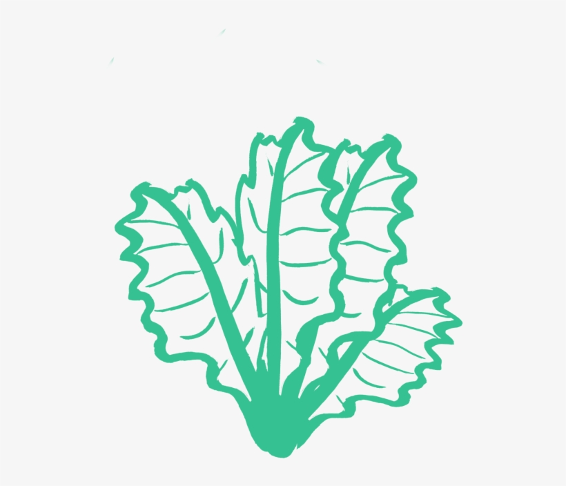 Kale - Kale Silhouette Png, transparent png #4657376