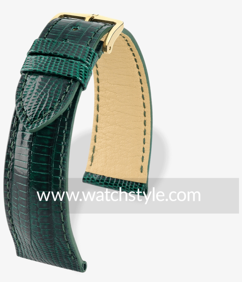 Hirsch Tejus Green Shiny - Watch Strap, transparent png #4657596
