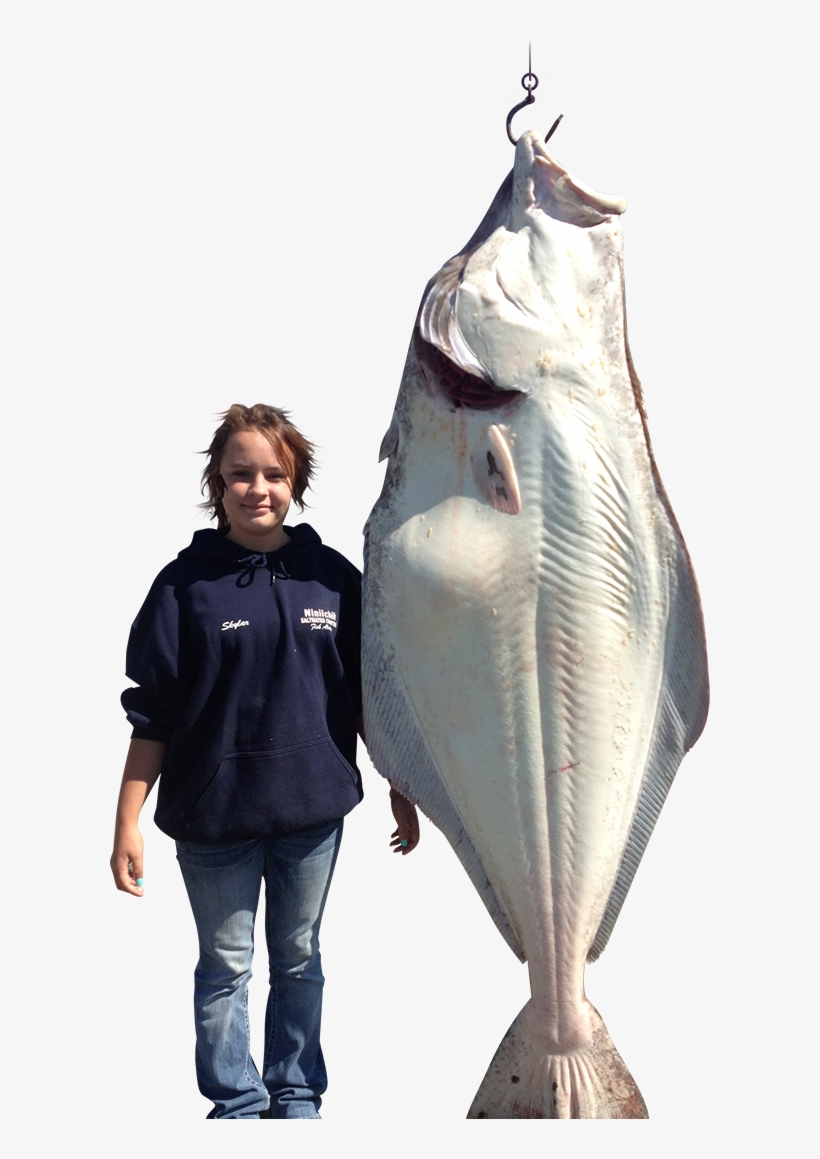 Cook Inlet Charters - Jigging, transparent png #4659708