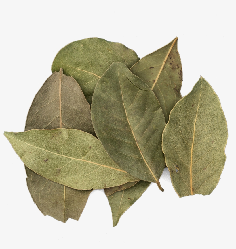 Bay Can Be Used To Flavour Both Sweet And Savoury Dishes - Bay Leaf, transparent png #4659886