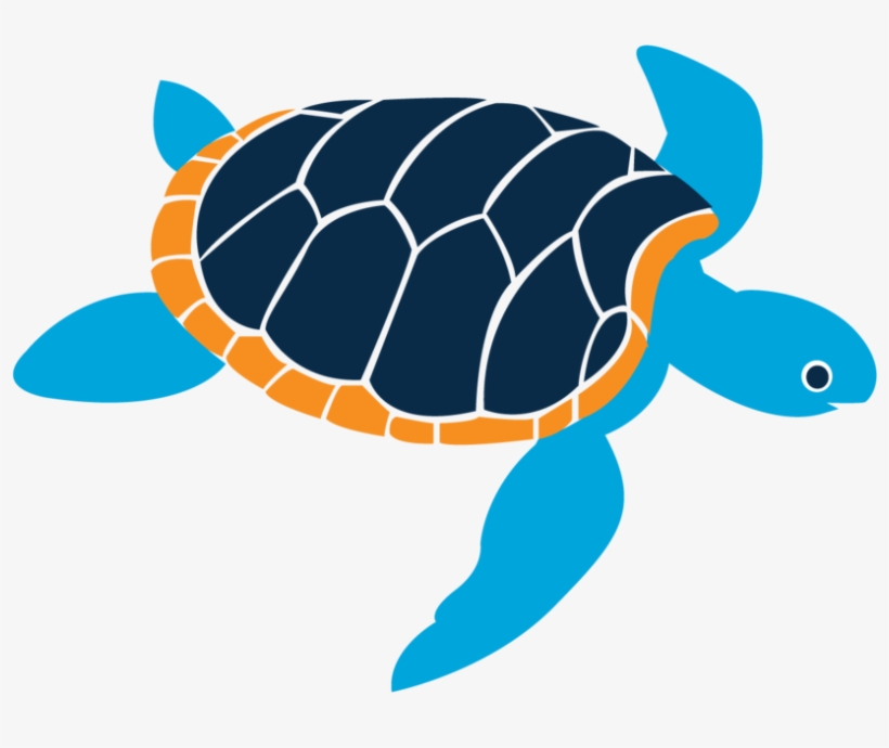 In The Fall Of 2013 The Early Learning Center Was Launched - Turtle, transparent png #4660224