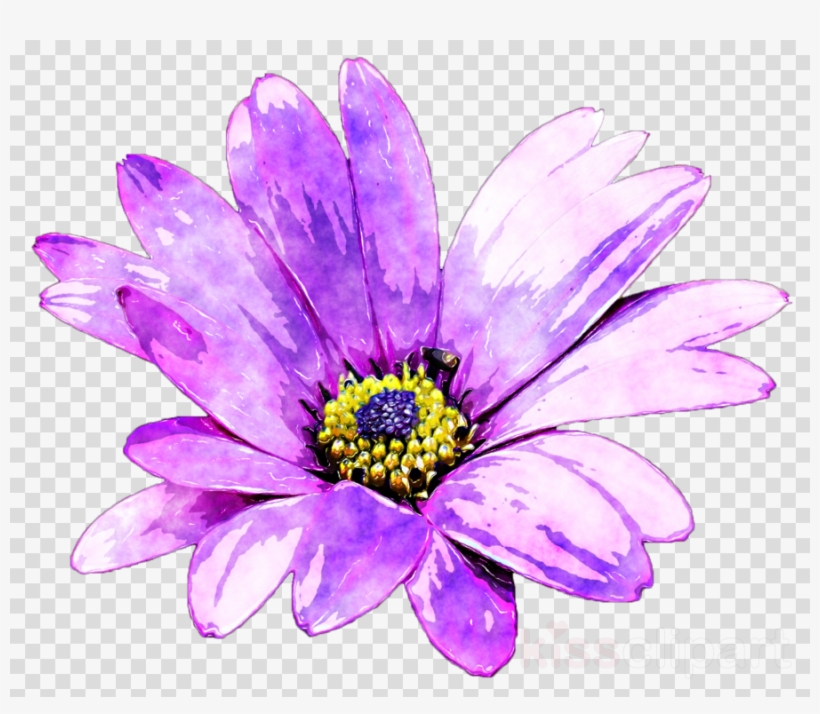 Purple Flower Painting Clipart Common Daisy Watercolor - Watercolor Painting, transparent png #4660305