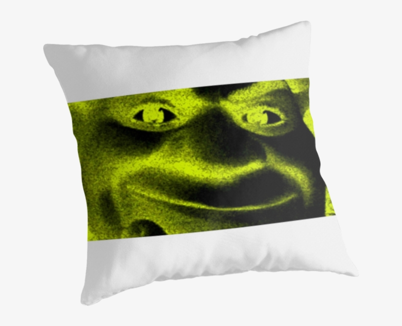 Shrek Pillow Pet - Shrek Good Question Meme, HD Png Download, free png  download