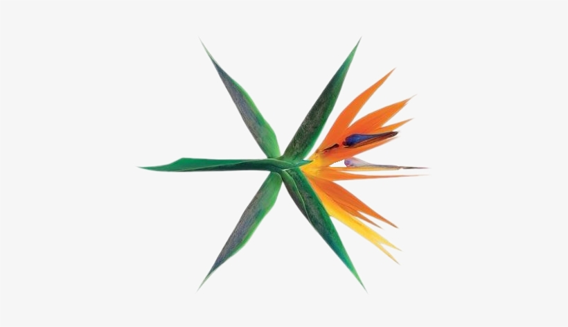 Exo Logo Png Наклейка Png Avatan Plus - Exo Kokobop Logo Transparent, transparent png #4661610